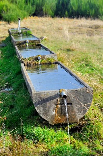 Obraz Drinking trough