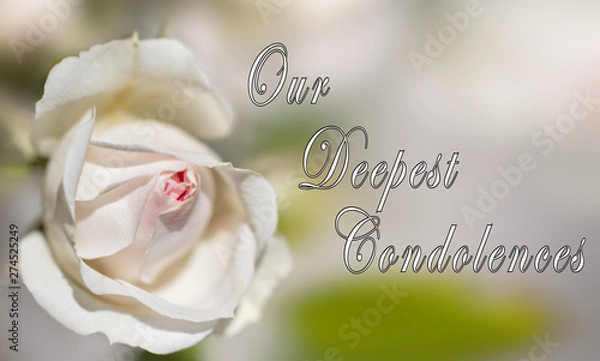 Obraz Our Deepest Condolences Card - Designed for someone mourning the death of the loved one