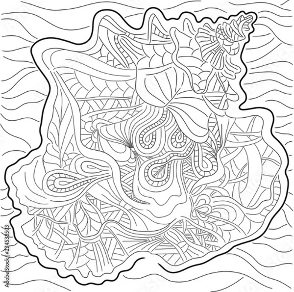 Fototapeta ornamental shell