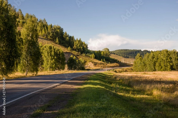 Fototapeta Asphalt road going across mountains and green forests. Trees and their shadows on the grass. Sunny summer day with blue sky. Ural landscape