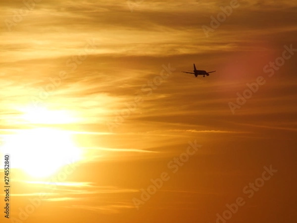 Obraz airplane flying in the sky