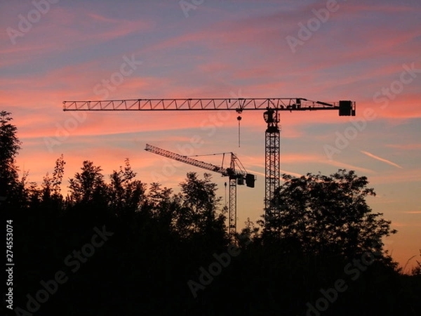 Obraz crane at sunset