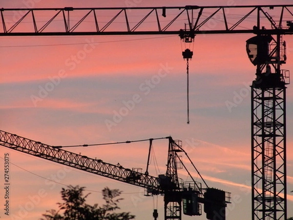 Obraz crane at sunset