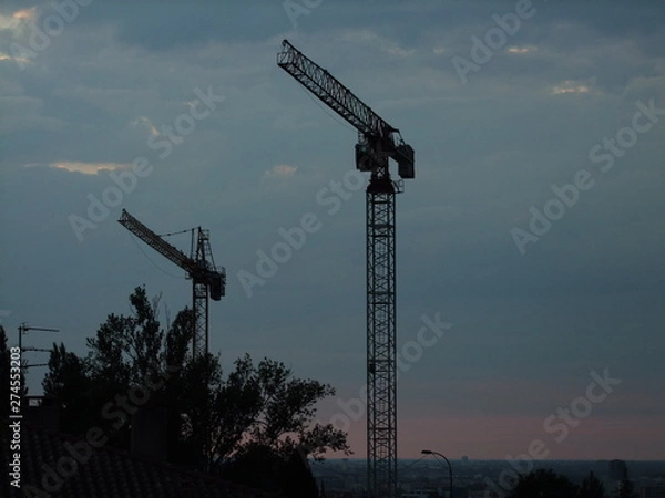 Obraz crane at sunset