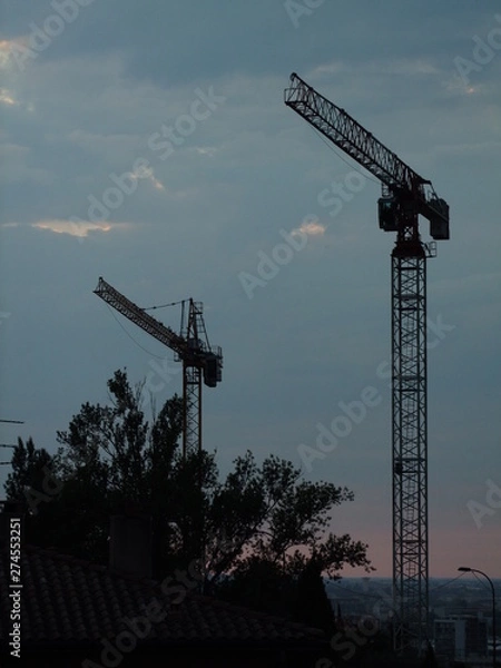 Fototapeta crane at sunset