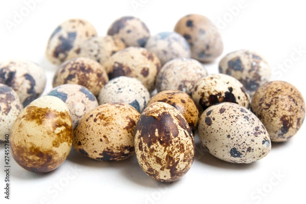 Obraz quail eggs close up on white background