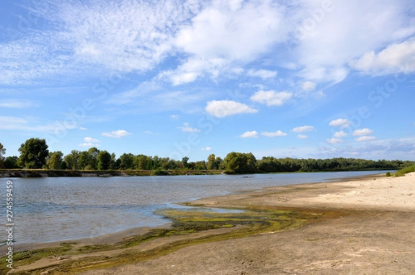 Fototapeta Wide blue river is slow flowing. Summer. Sunny weather and white sand. green trees far away