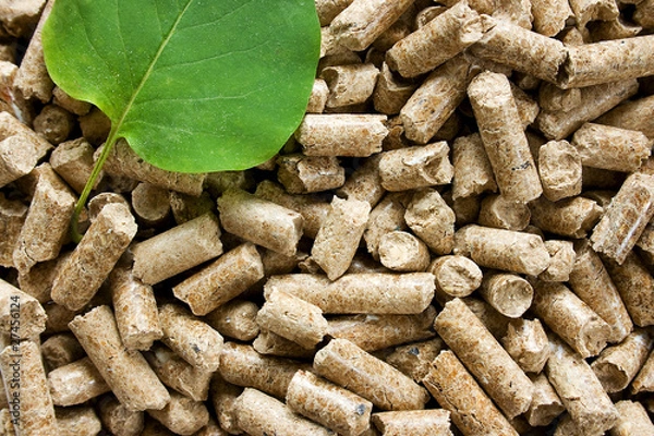 Fototapeta Wood pellets with a green leaf