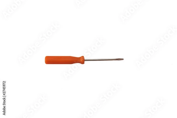 Obraz tournevis plat