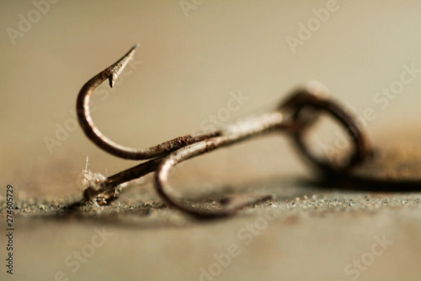 Obraz Fish Hook