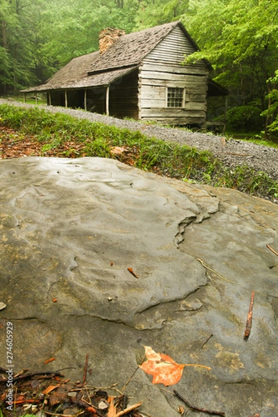 Obraz Cabin in a Forest