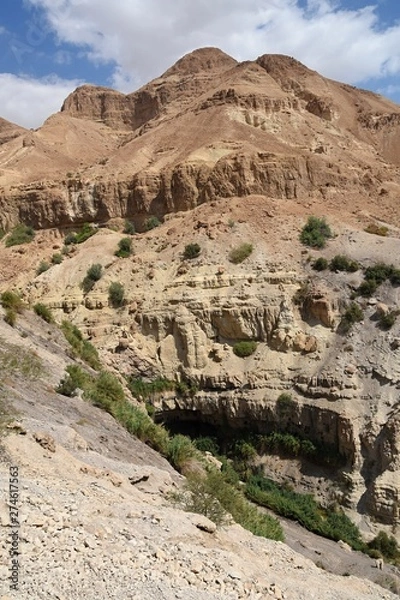 Obraz Nature Reserve Ein Gedi