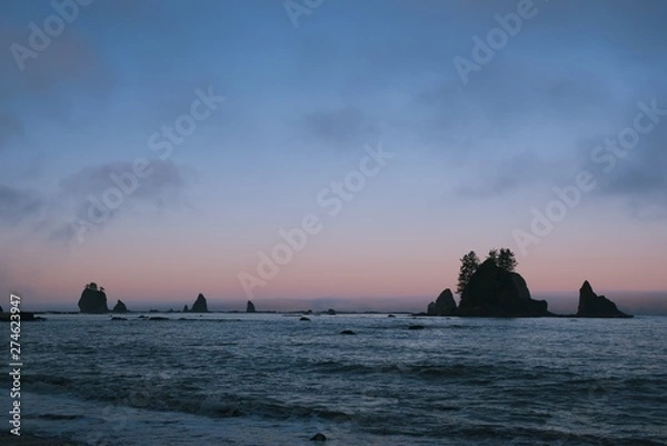 Obraz Pacific northwest beach