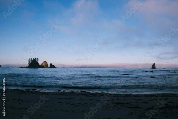 Obraz Pacific northwest beach