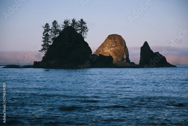 Obraz Pacific northwest beach