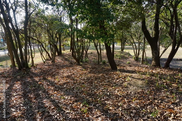 Obraz 旗塚古墳の墳頂