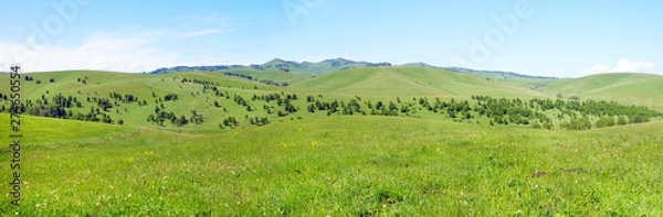 Fototapeta Beautiful hilly panoramic summer landscape with green grassy hills covered with trees in a sunny day
