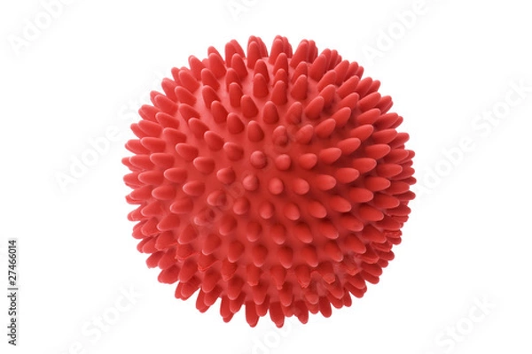 Obraz zabawka dla psa