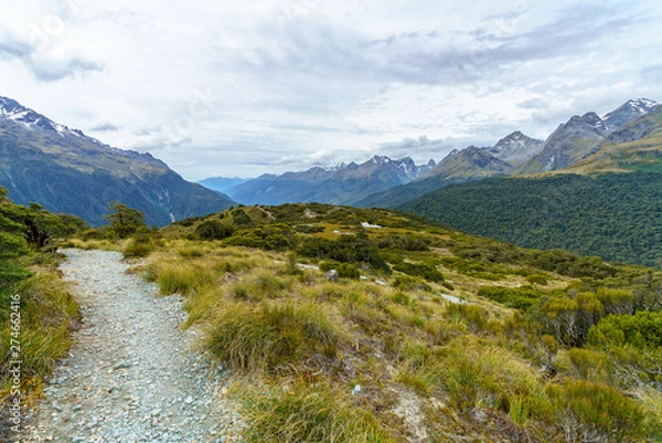 Fototapeta hiking the path, key summit track, southern alps, new zealand 15
