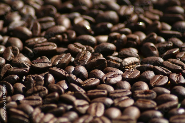 Obraz coffee beans