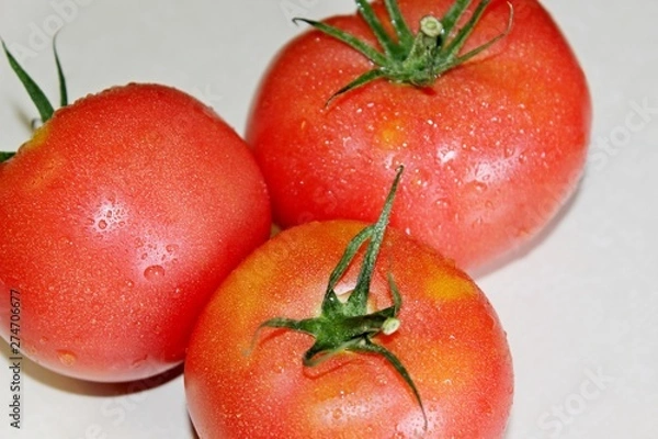 Obraz tomato on a white background