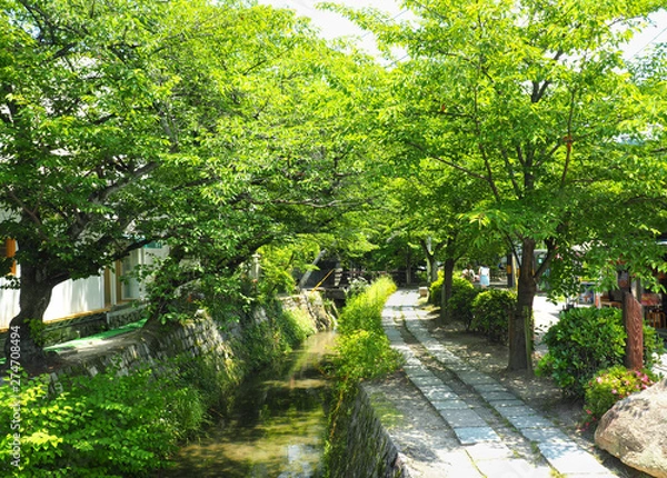 Obraz 京都　哲学の道