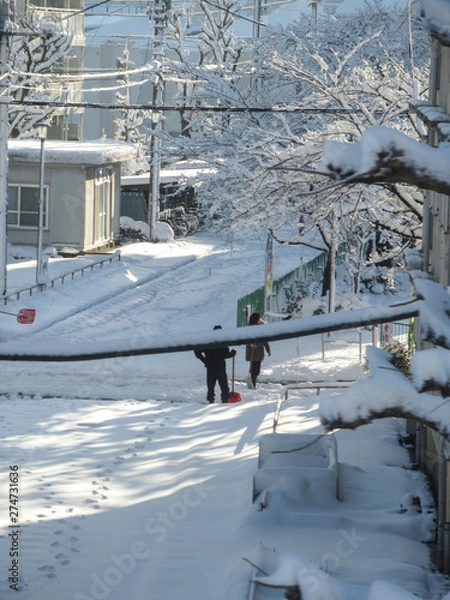Obraz 雪の降った次の日の朝