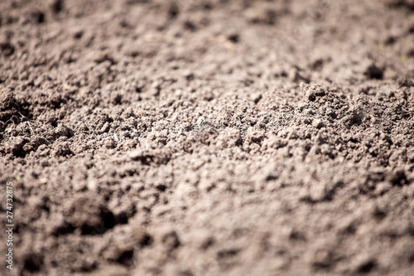 Obraz Dirt seamless texture soil land texture terra background