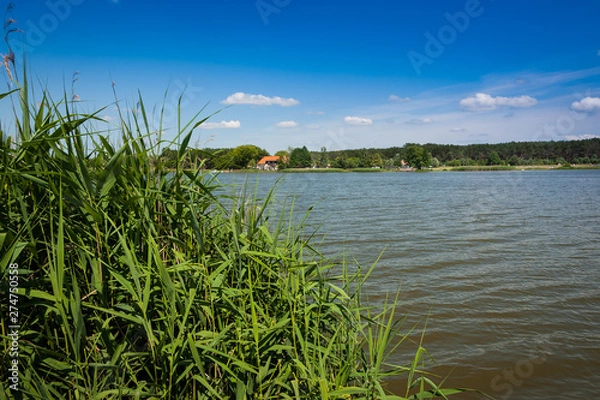 Obraz Lato nad jeziorem