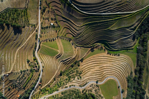 Fototapeta Aerial view of the terraced vineyards in the Douro Valley near the village of Pinhao, Portugal; Concept for travel in Portugal and most beautiful places in Portugal