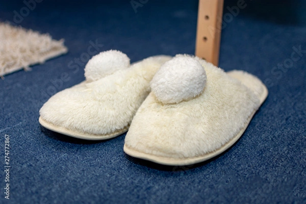 Obraz heart shaped cookies