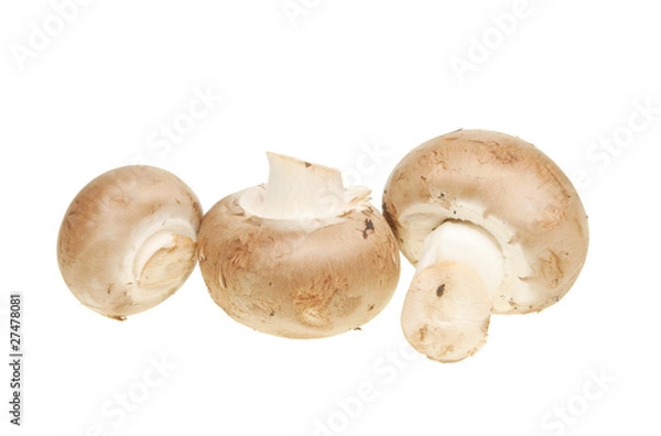 Obraz Chestnut mushrooms