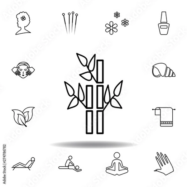 Fototapeta bamboo plants of spa outline icon. Detailed set of spa and relax illustrations icon. Can be used for web, logo, mobile app, UI, UX