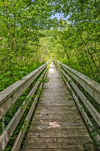 Fototapeta Boardwalk Bridge Over Wet Area at Loda Lake