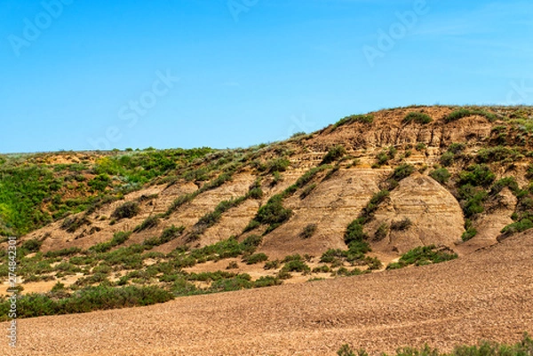 Fototapeta Dry cracked takir soil in semi-desert in Russia. Nature landscape
