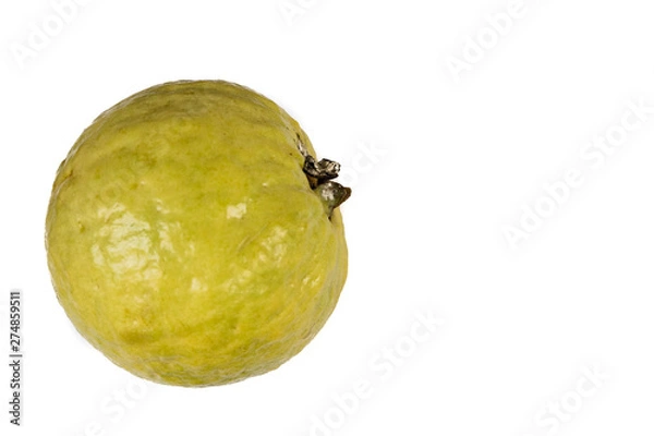 Obraz Guava fruit isolated white background