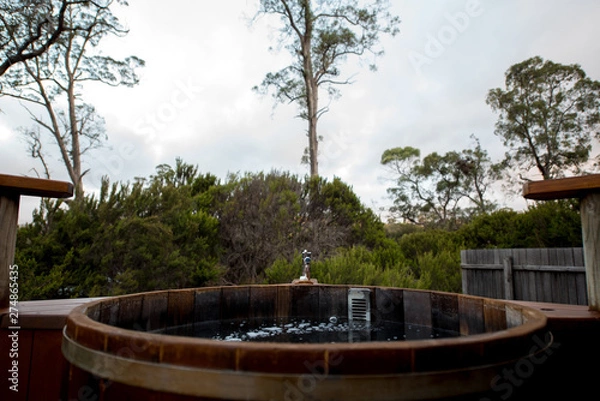 Obraz Hot Bath Wild Nature