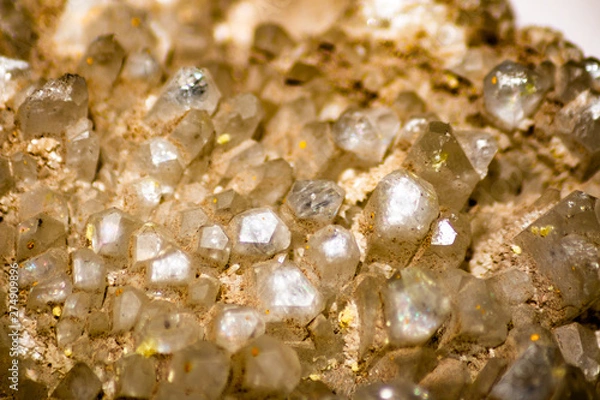 Fototapeta Foto in macro