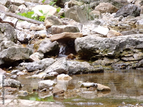 Obraz KODAK Digital Still Camera