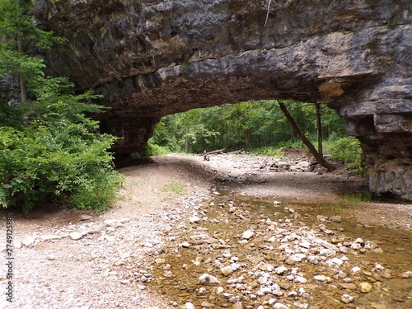 Obraz KODAK Digital Still Camera