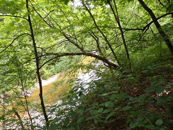 Obraz KODAK Digital Still Camera