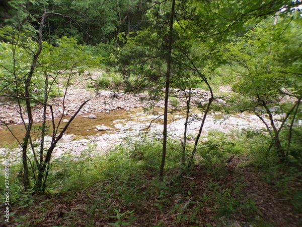 Obraz KODAK Digital Still Camera