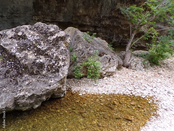 Obraz KODAK Digital Still Camera