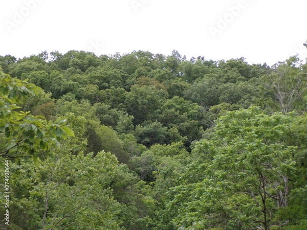 Obraz KODAK Digital Still Camera