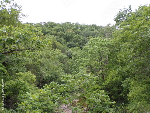 Obraz KODAK Digital Still Camera