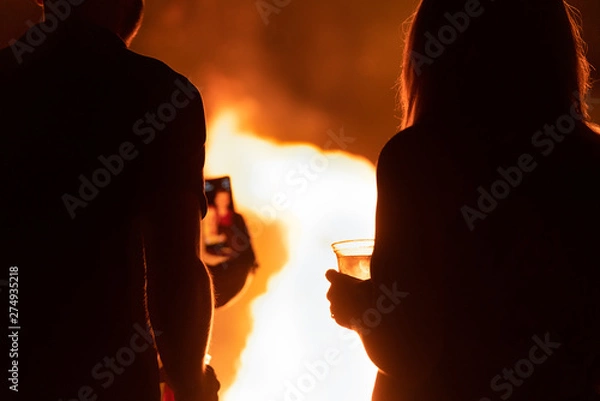 Obraz Slefi devant un feu