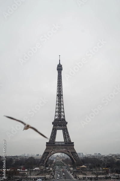 Fototapeta eiffel tower in paris