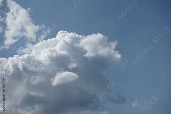 Fototapeta White Clouds on a Clear Blue Sky