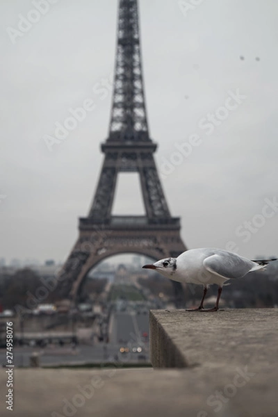Obraz eiffel tower in paris
