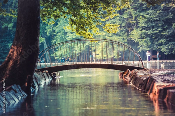 Obraz Image of little bridge over lake during sunset